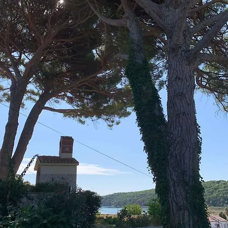 Apartment In Rab/insel 39960