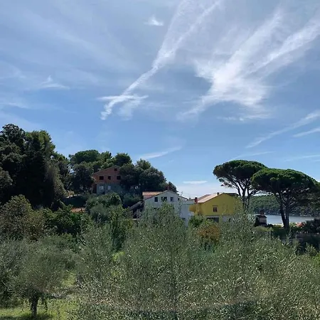 Apartment In Rab/insel 39960